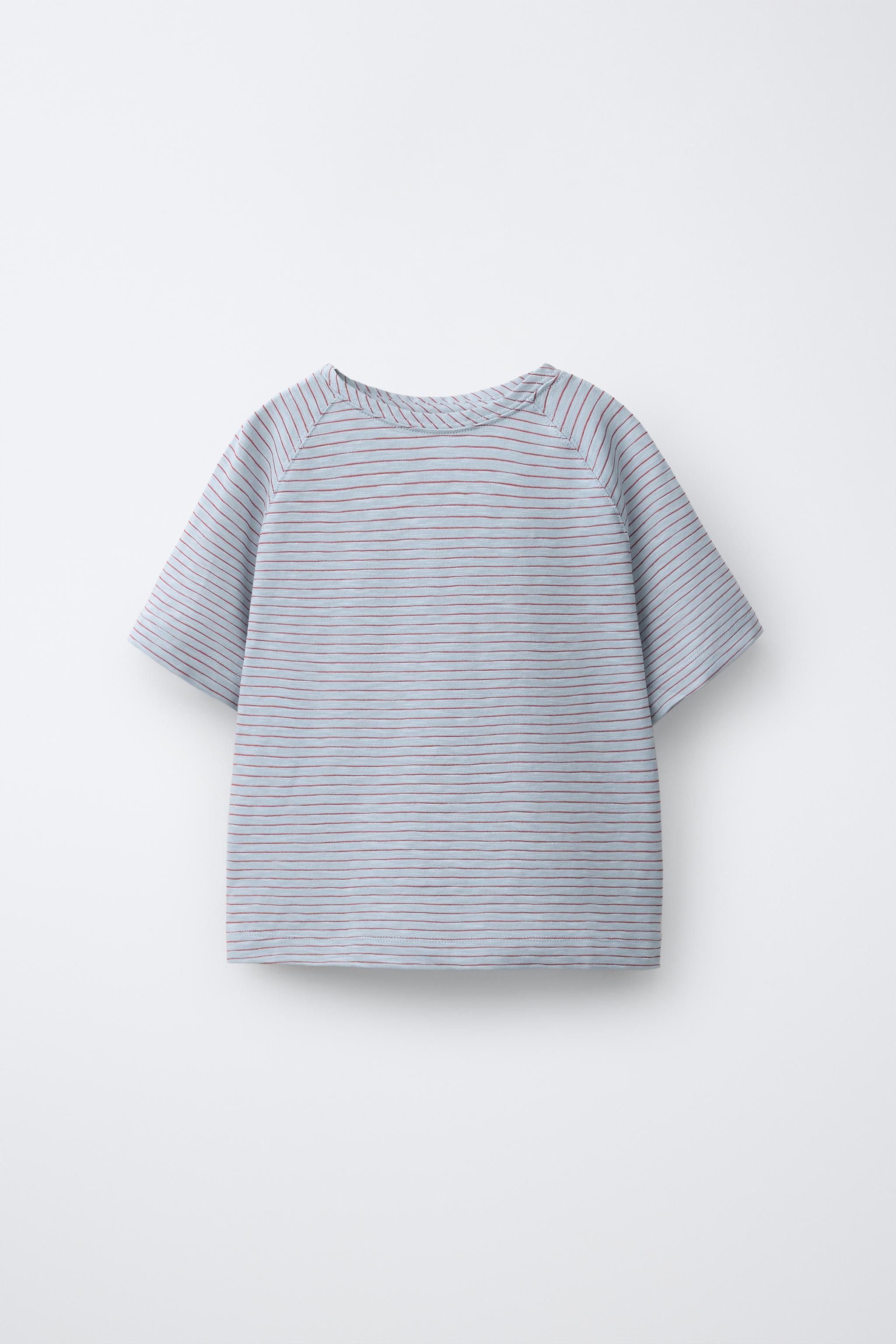 STRIPED RAGLAN SLEEVE T-SHIRT — Pastel blue