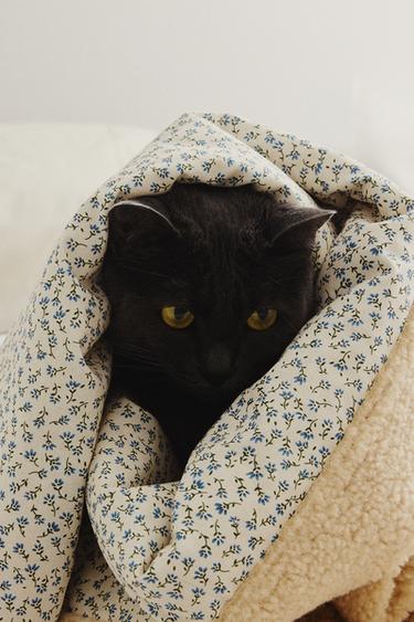 FLORAL PET BLANKET - Blue by Zara