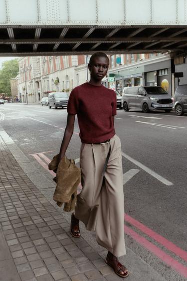 SHORT SLEEVE KNIT SWEATER - Burgundy by Zara