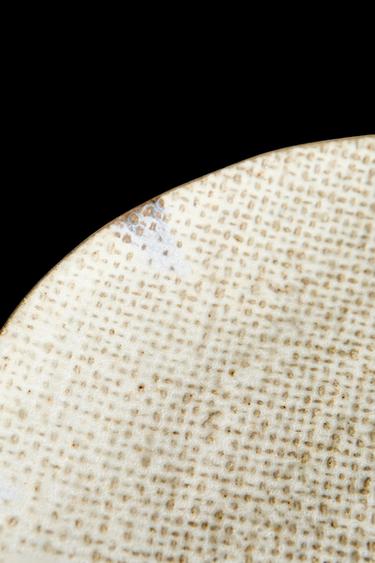 TEXTURED STONEWARE DINNER PLATE - Ecru / Blue by Zara