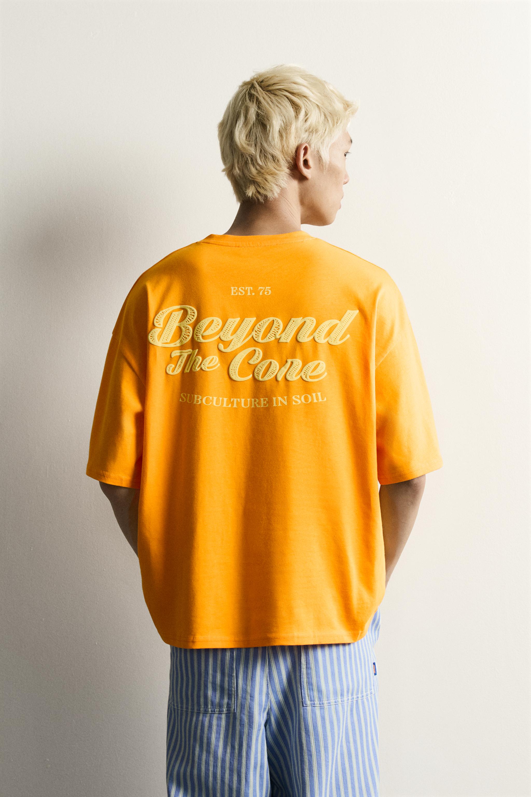 Zara KOMBİNE İŞLEMELİ RELAXED FIT T-SHIRT görsel 3