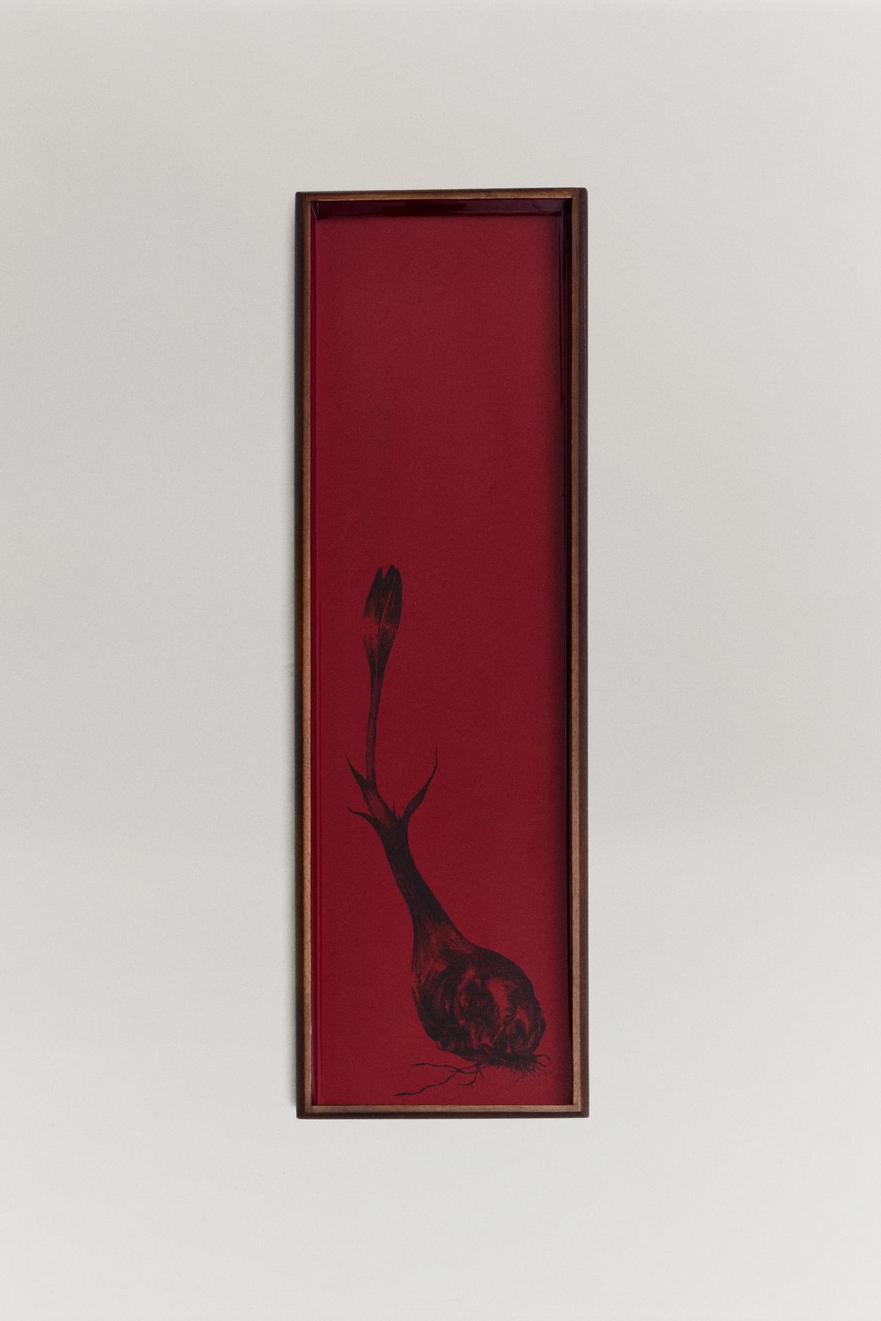 THE ALDIQUÀ RECTANGULAR TRAY — Burgundy
