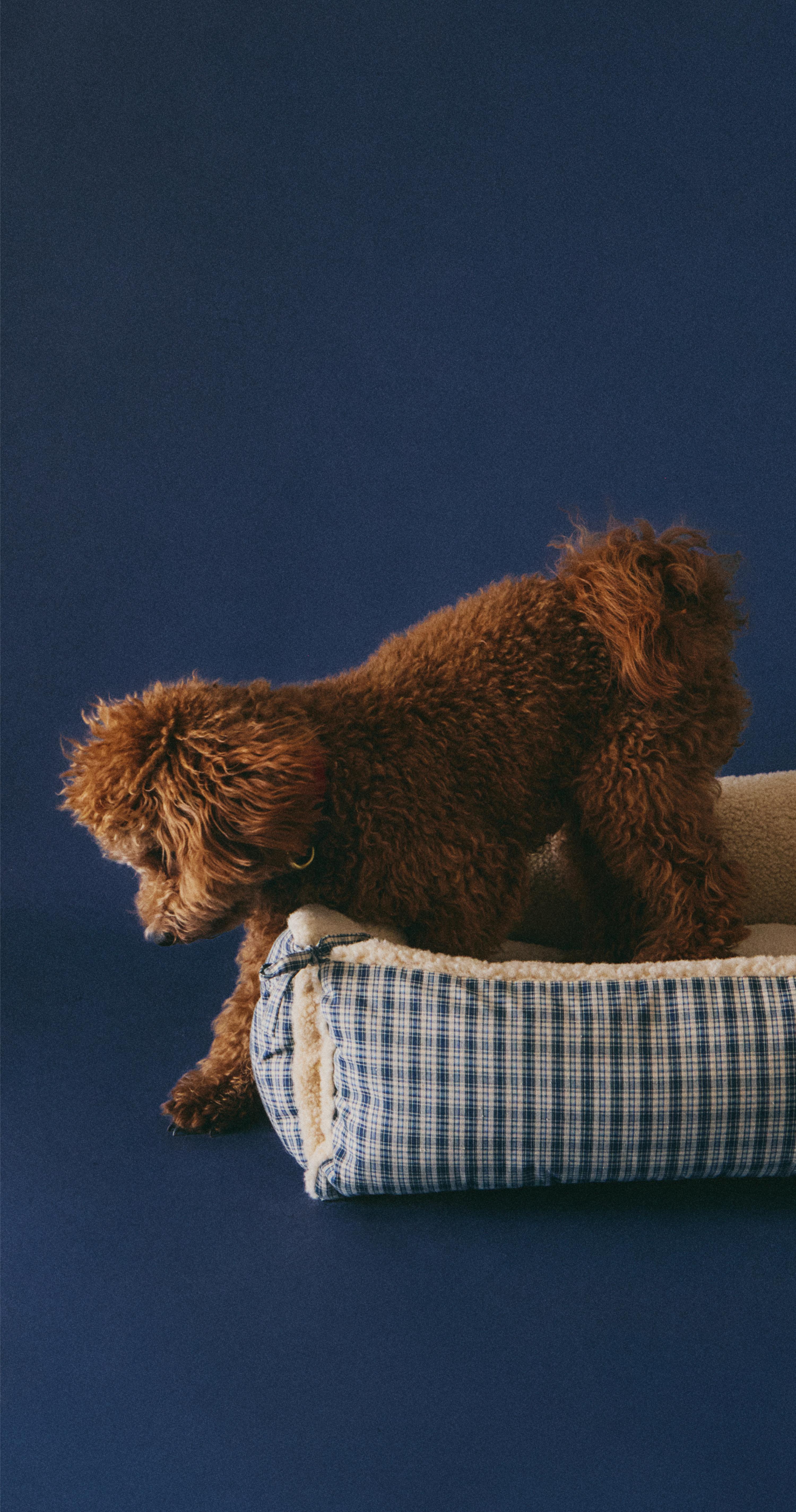 Zara Home | ZARA United States