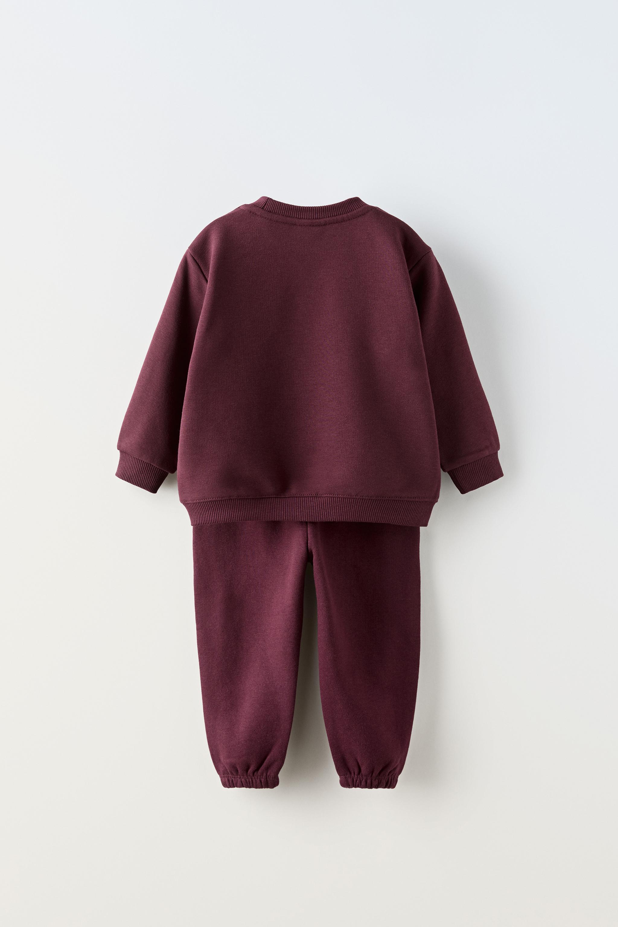 zara トップ セットアップ