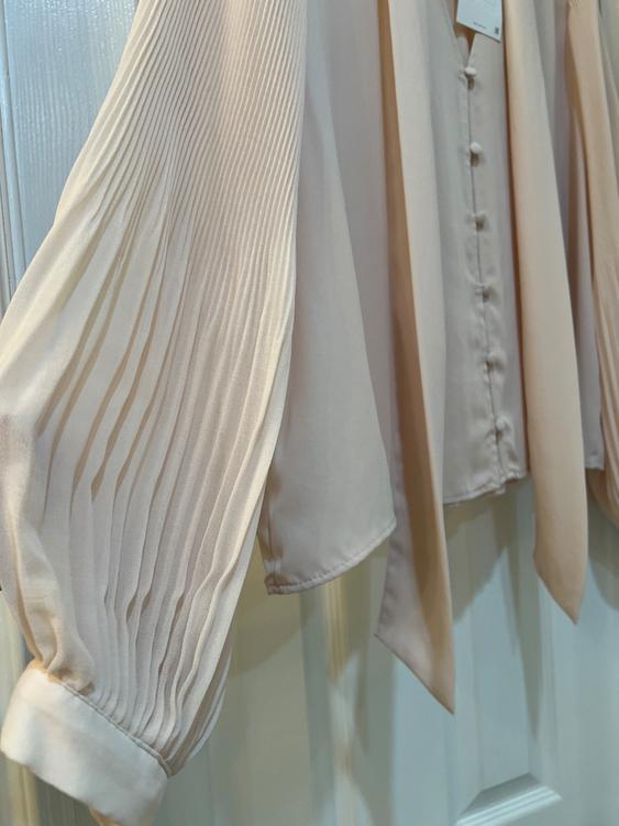 Beige long-sleeved blouse with pleats and front buttons, hanging on a white door.