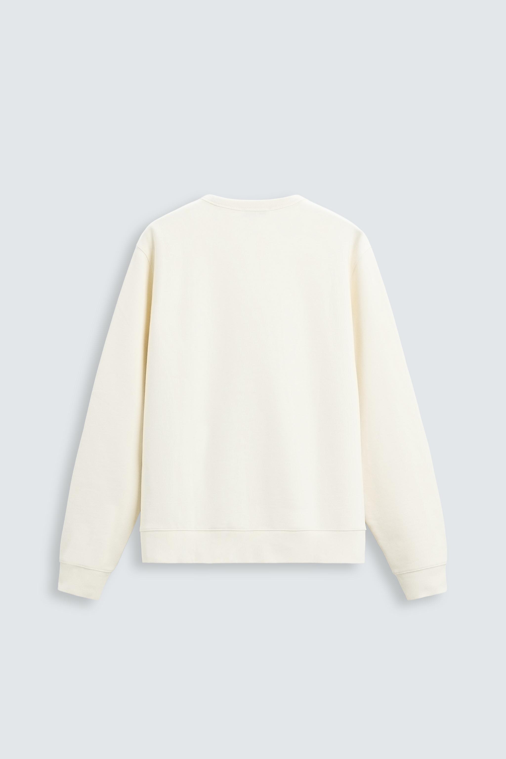 BASIC CREWNECK SWEATSHIRT - Oyster-white | ZARA South Africa