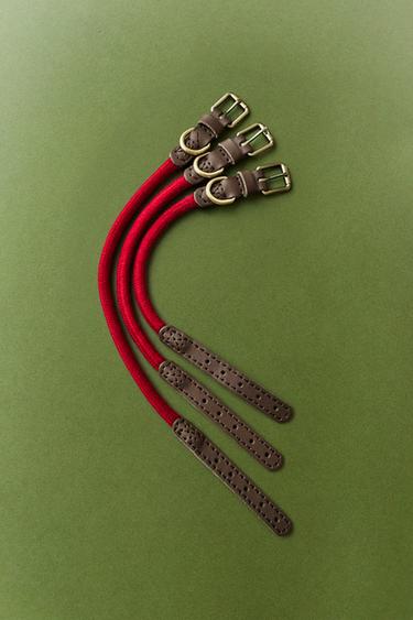COLLIER CORDE CUIR CHIENS - Rouge de Zara - Image 5