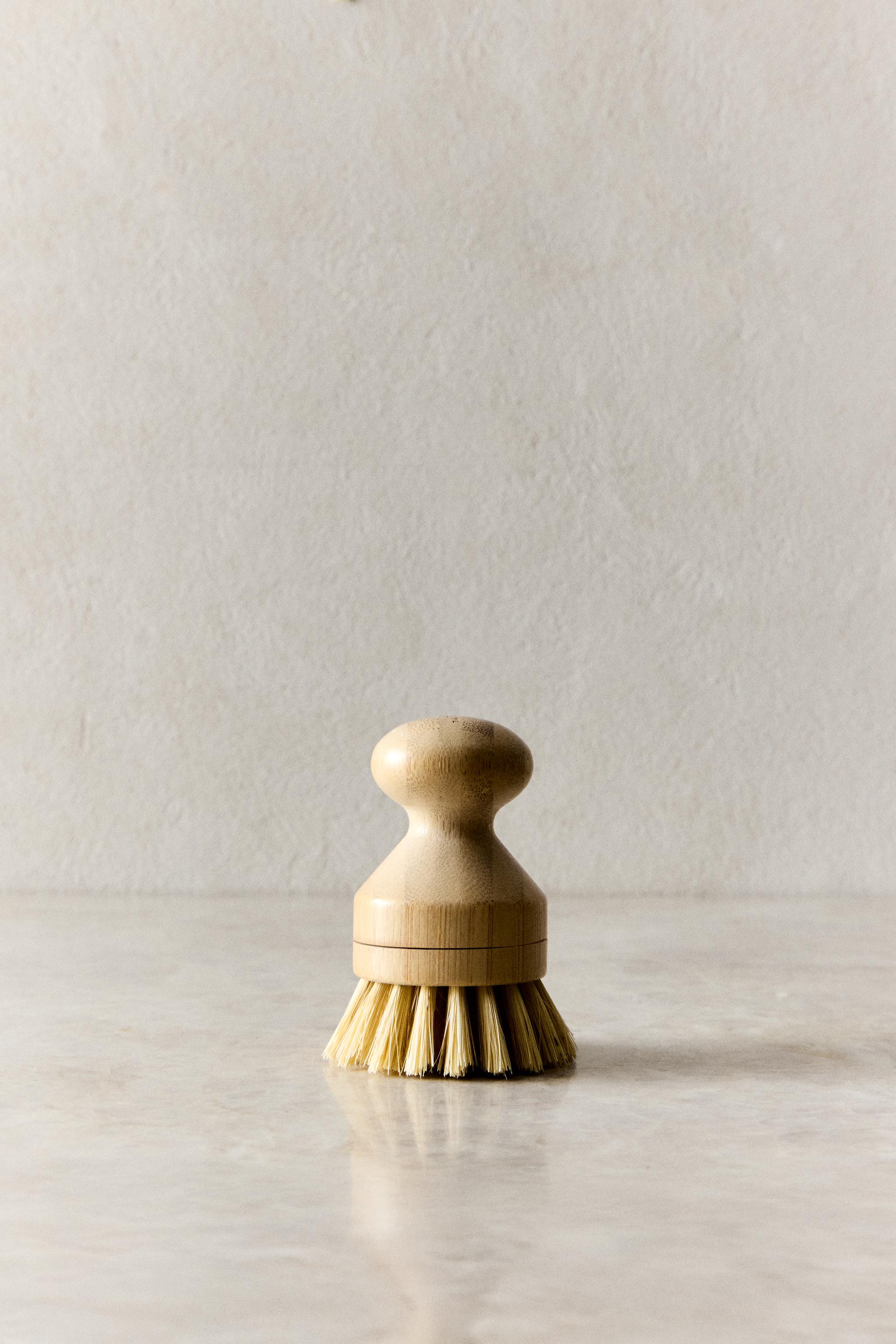 SMALL BRUSH WITH INTERCHANGEABLE BRISTLES