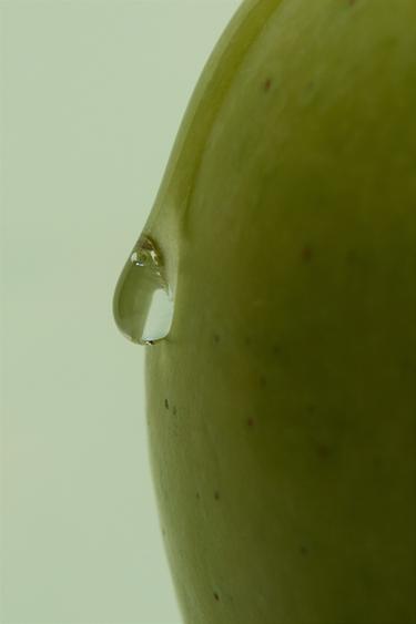 APPLE JUICE EDT 90ML (3.04 FL. OZ). - pie tinte de Zara