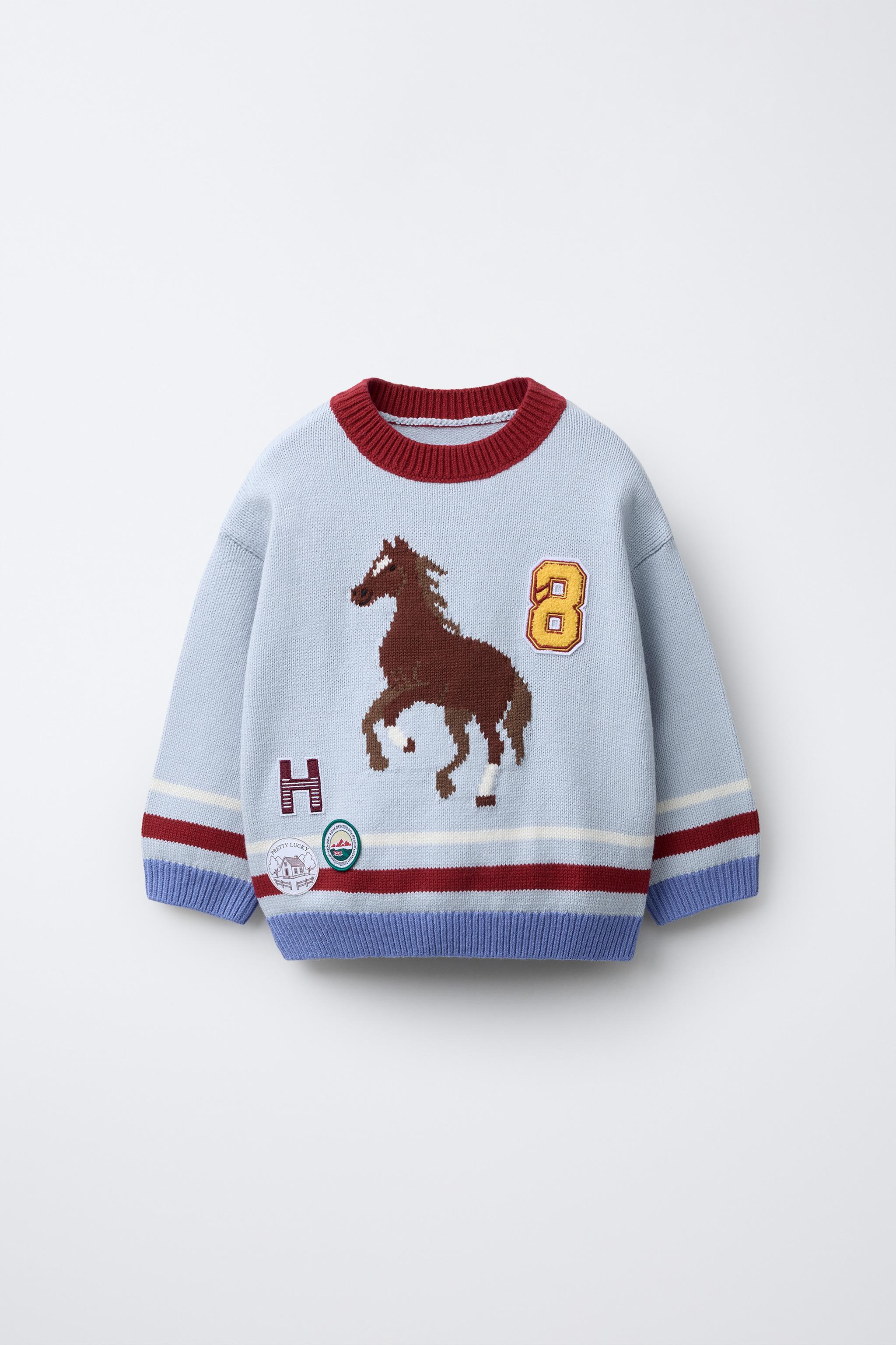 EMBROIDERED KNIT JUMPER - Light blue | ZARA Singapore