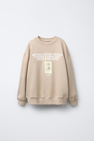 SWEATSHIRT MED NATURHISTORIE OG MUSEUMSMOTIV © - Beige-brun fra Zara - Billede 0