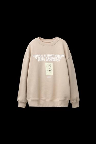 SUDADERA ESTAMPADO NATURAL HISTORY MUSEUM LONDON © - Beige-marro de Zara - Imagen 0