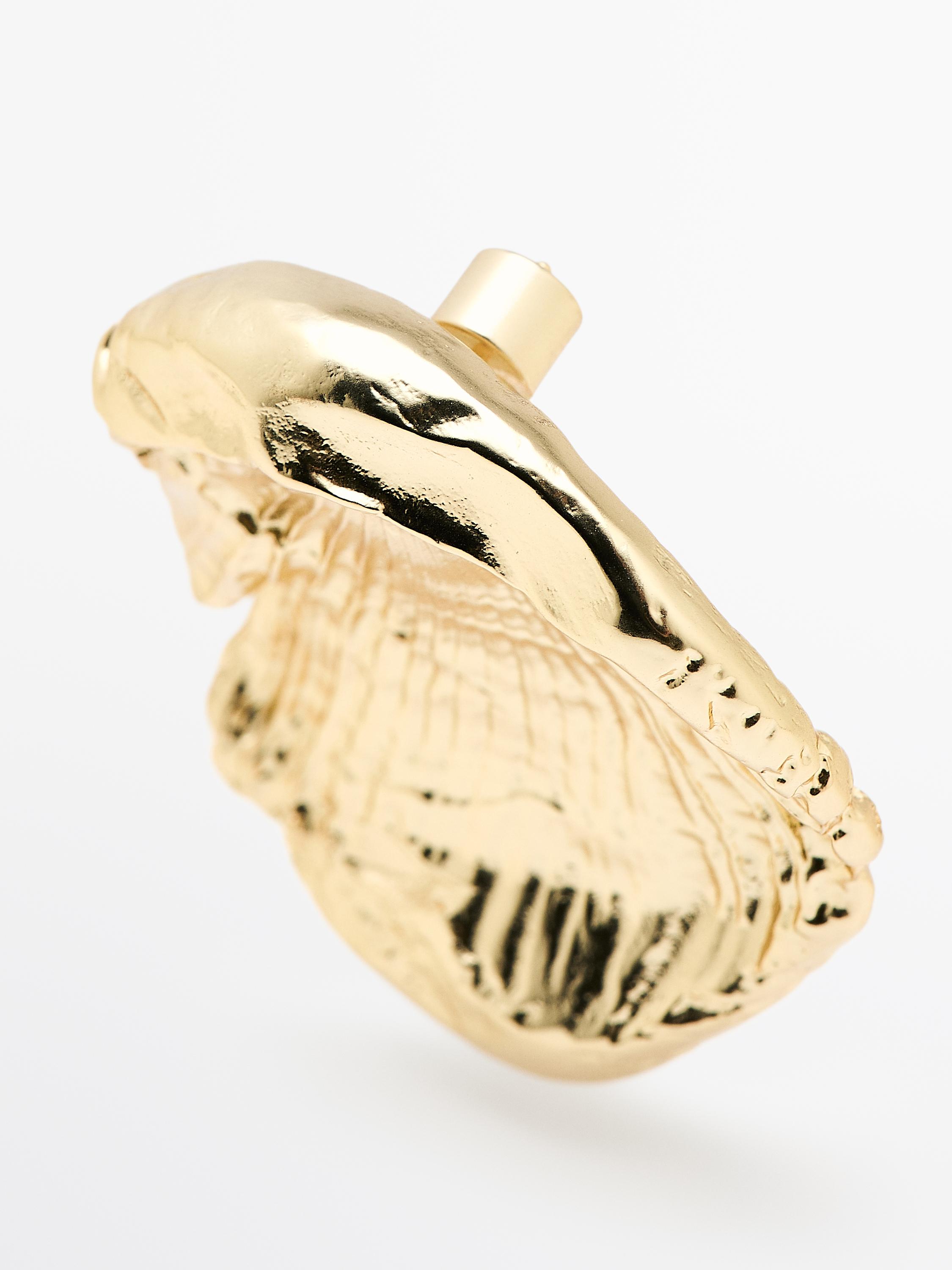 Fossil earrings