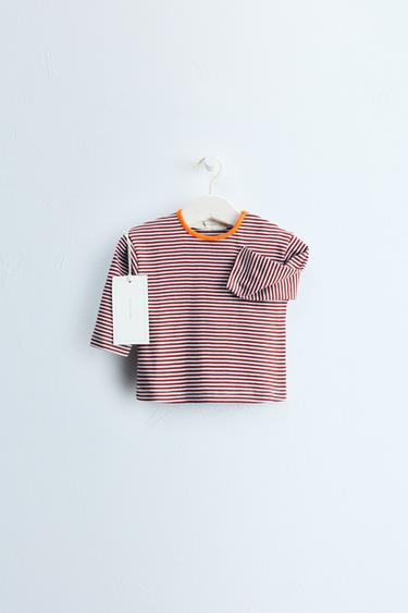 Zara Timeless - Striped Print T-Shirt — Maroon 1