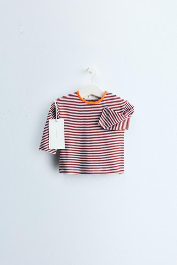 Zara TIMELESS - PLAYERA ESTAMPADO RAYAS - Granate de Zara - Imagen 0