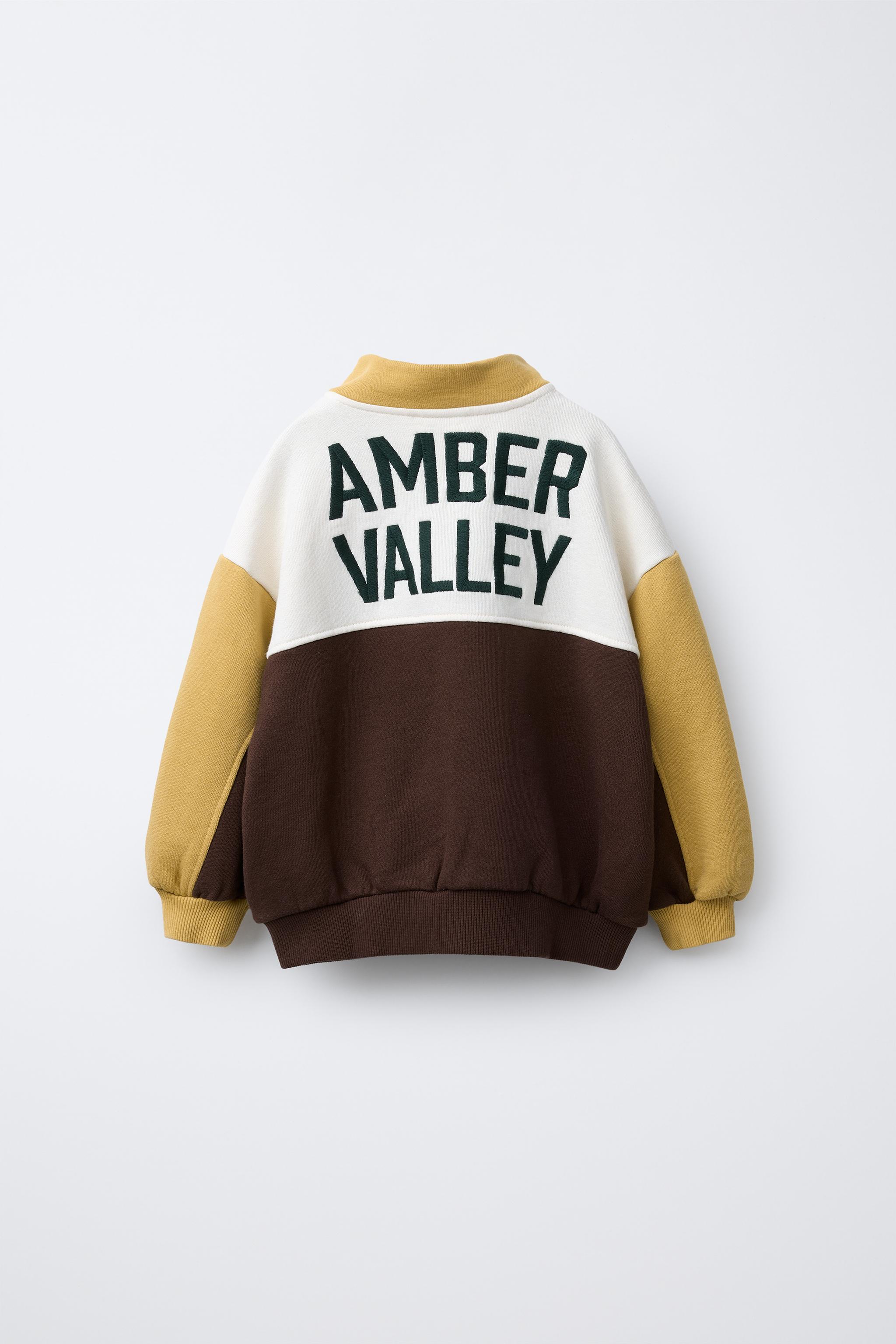 COLOR BLOCK EMBROIDERED TEXT SWEATSHIRT - Brown | ZARA United States