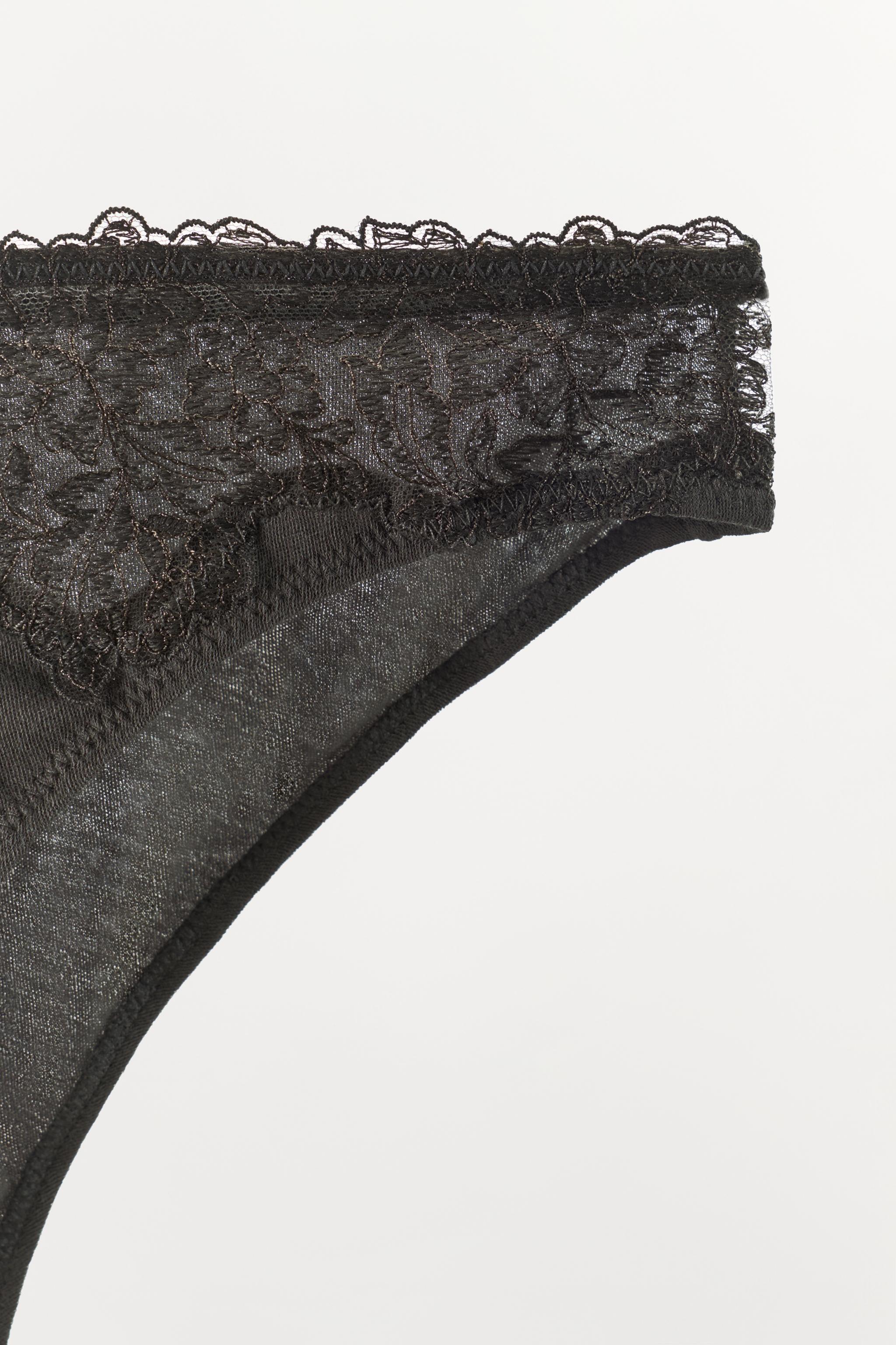 SILK AND LACE BRIEFS