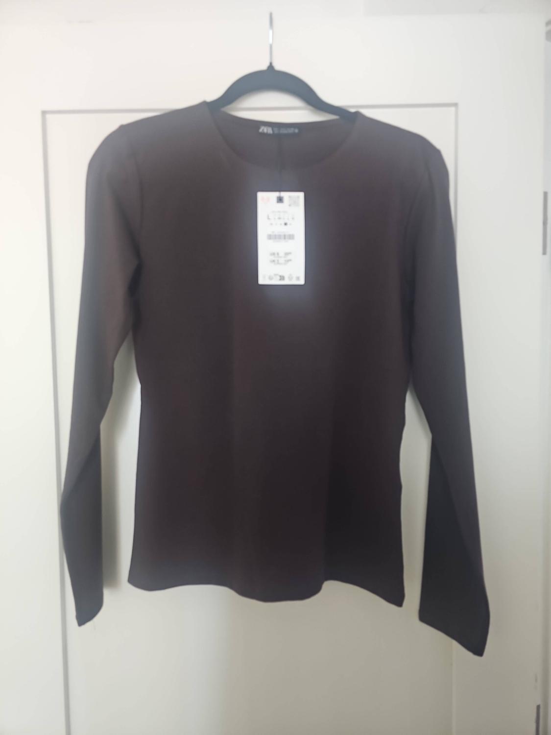 Dark brown long-sleeved, round-neck T-shirt hanging on a black hanger over a white door. ZARA label visible.