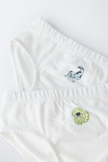 1 1/2-6 YEARS/ SIX-PACK OF PUPPY BRIEFS - Multicoloured by Zara - Image 4