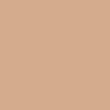 TINTED MOISTURIZER WITH SPF 50