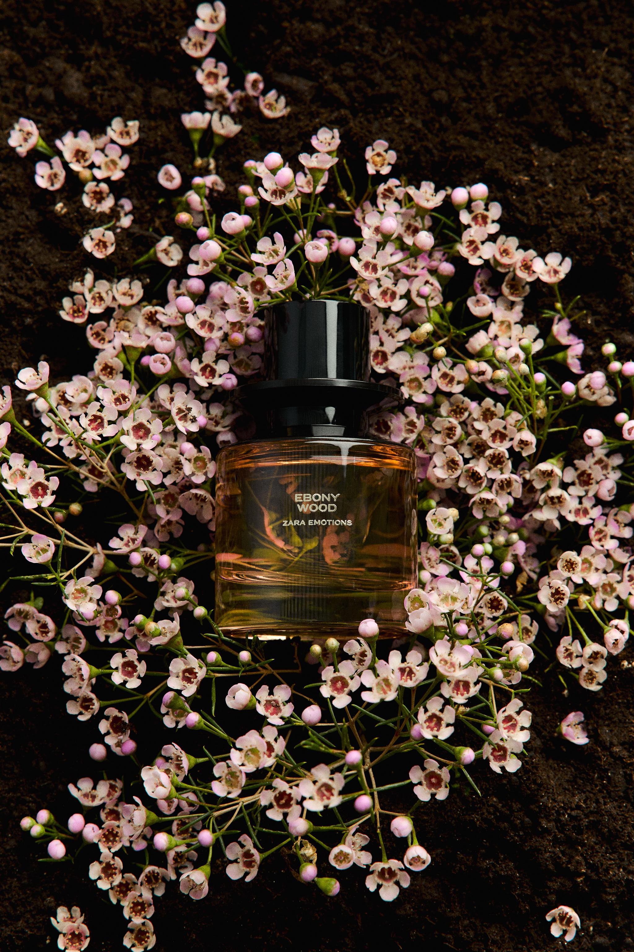 EBONY WOOD LIMITED EDITION EDP 60ML | ZARA Japan / 日本