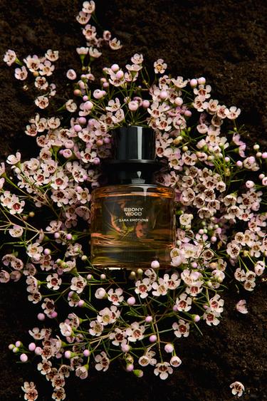 EBONY WOOD LIMITED EDITION  EDP 60ML (2.3 FL.OZ). -  de Zara - Imagen 0
