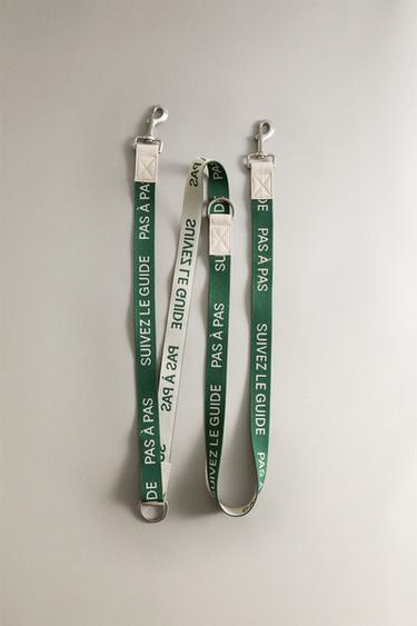 RUE DU BAC PET LEAD - Green by Zara