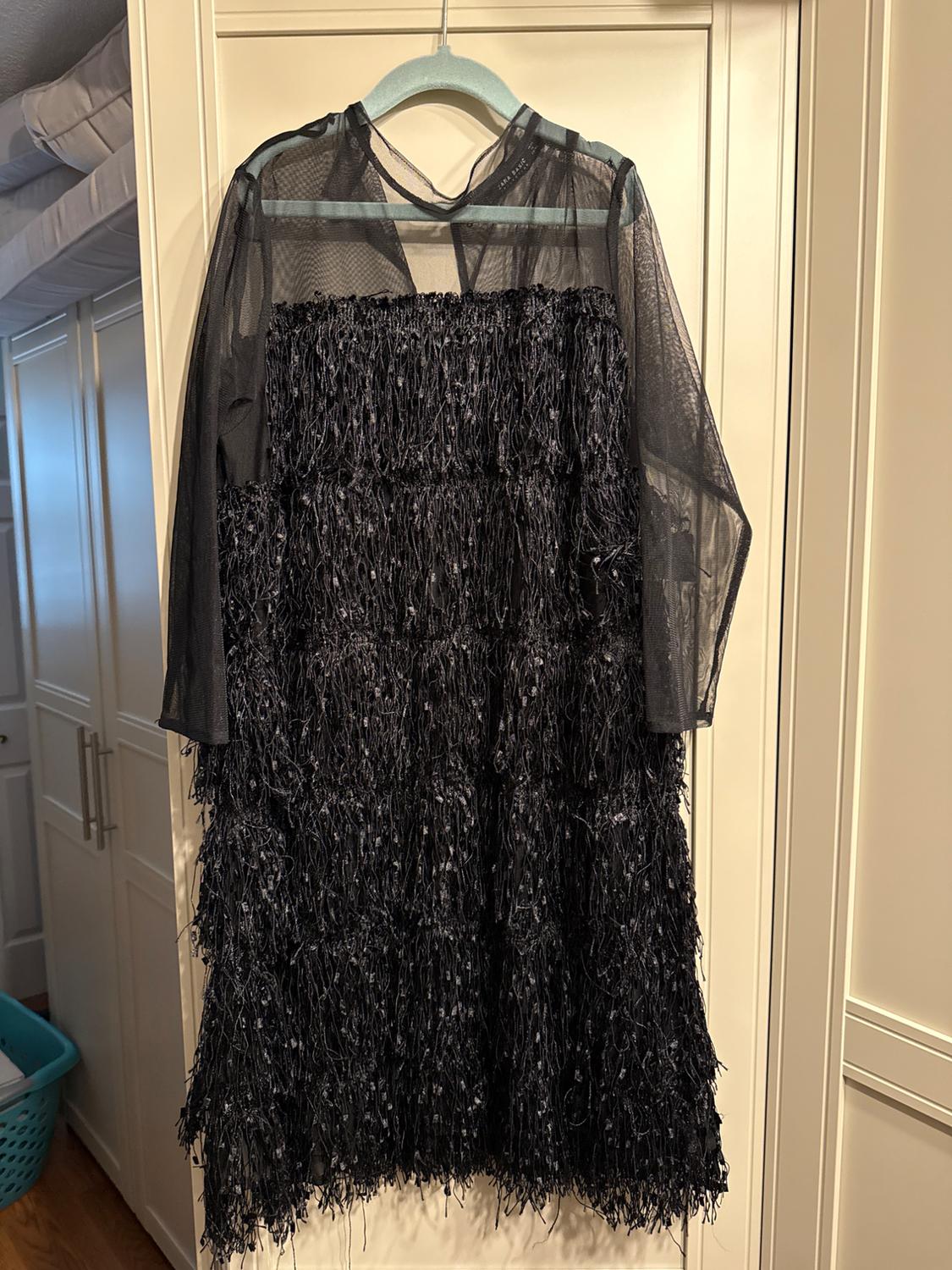 Black dress with fringe and sheer mesh sleeves hanging on a blue hanger, white closet background.