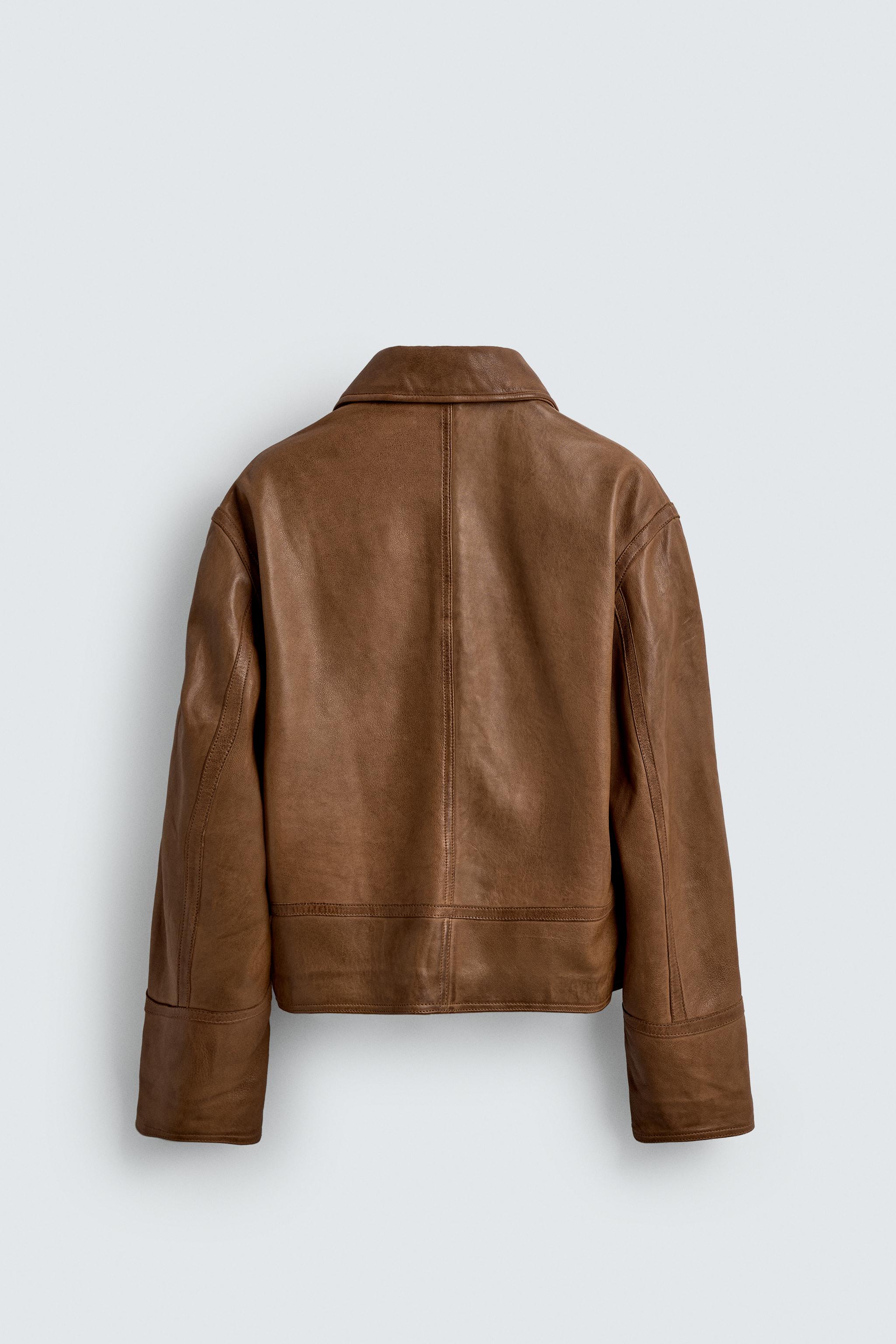 LIMITED EDITION レザージャケット - ブラウン | ZARA Japan / 日本