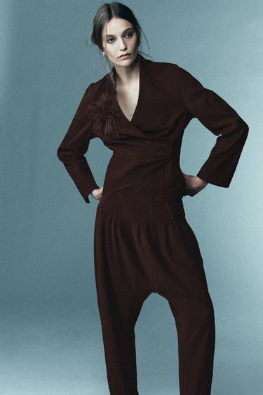 قميص مزموم بريش إصدار محدود - بني داكن الخاص بـ Zara - صورة 0