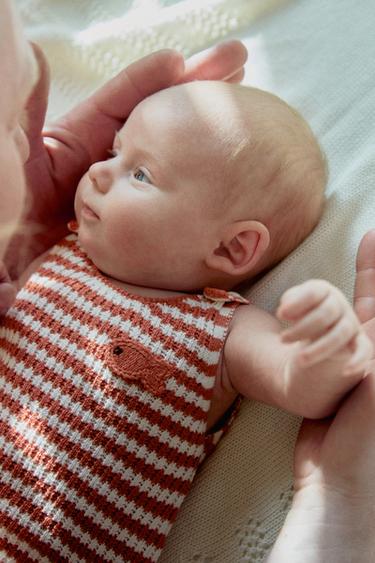 أفرول محاك مخطط بتطريز سمكة - خَام الخاص بـ Zara