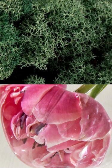 VETIVER PAMPLEMOUSSE EDP 100 ML (3.4 FL. OZ). -  de Zara - Image 2