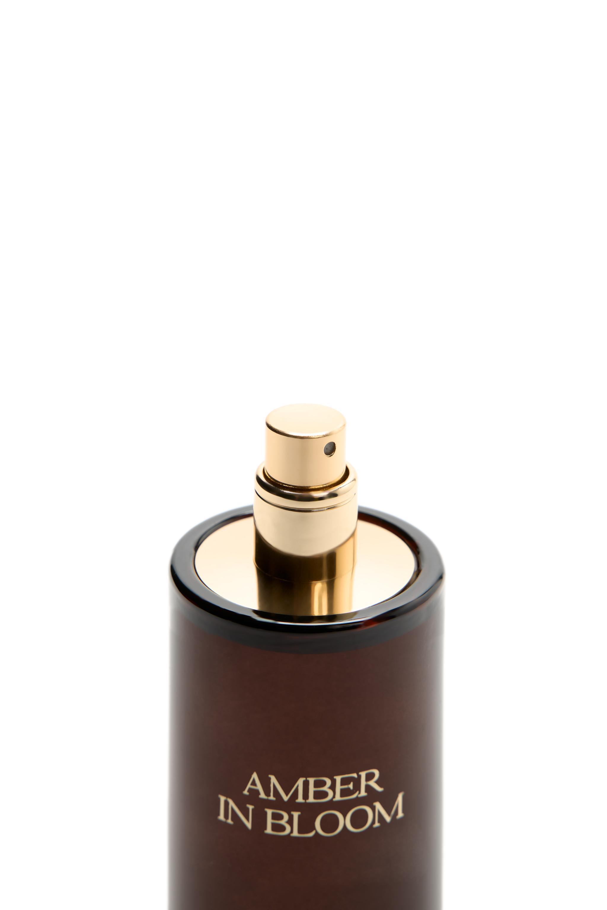 Amber In Bloom