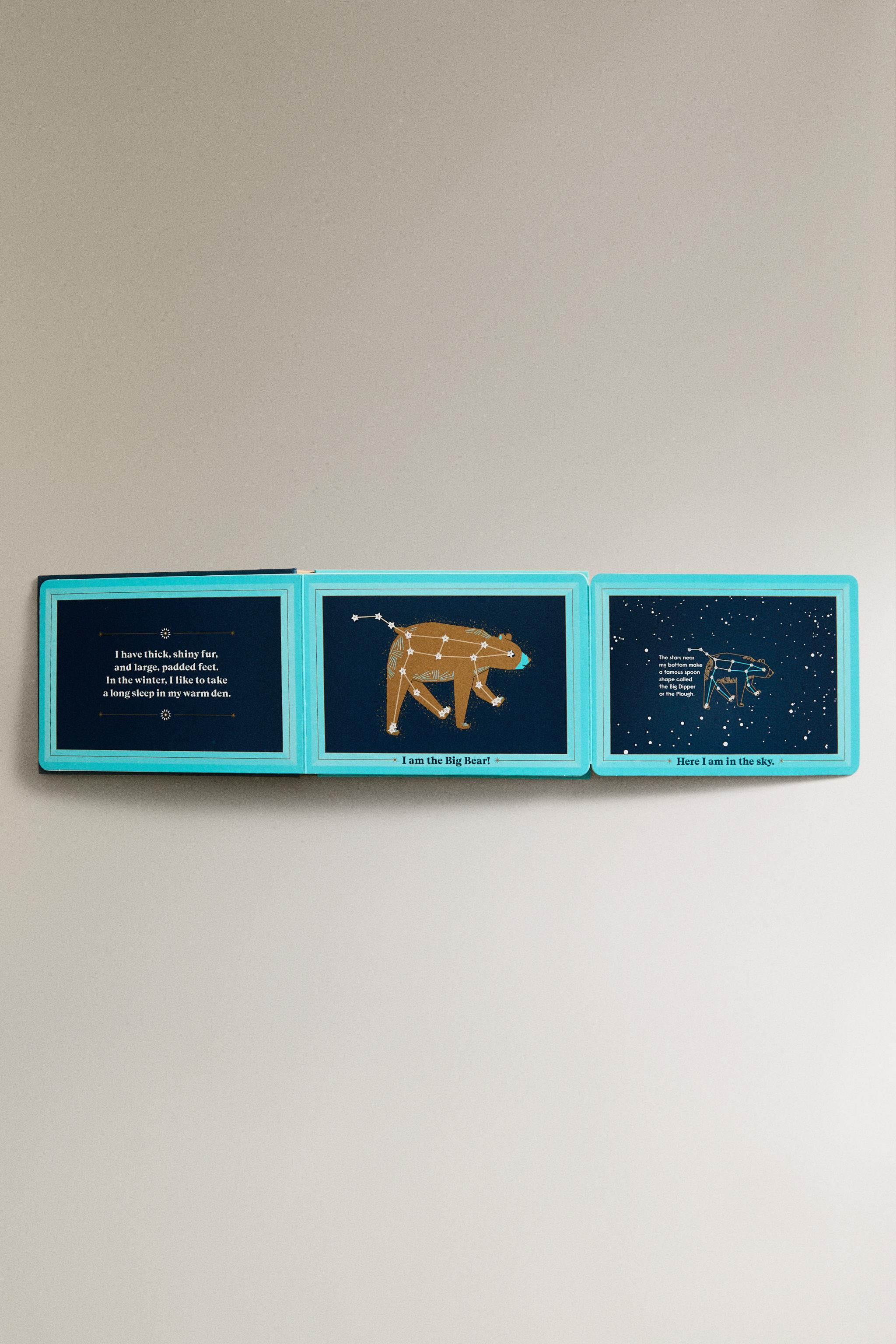 児童書 ANIMALS IN THE SKY - マルチカラー | ZARA Japan / 日本