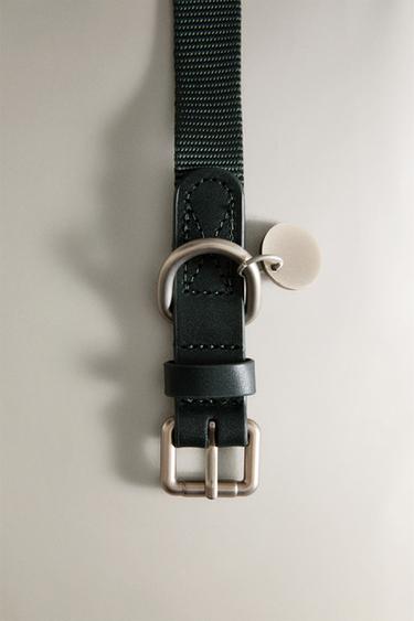 COLLIER UNI ANIMAUX DE COMPAGNIE - Vert de Zara - Image 1