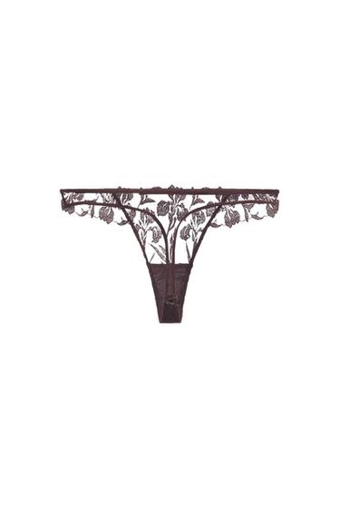 TANGA BORDADOS ENCAJE - Marrón de Zara