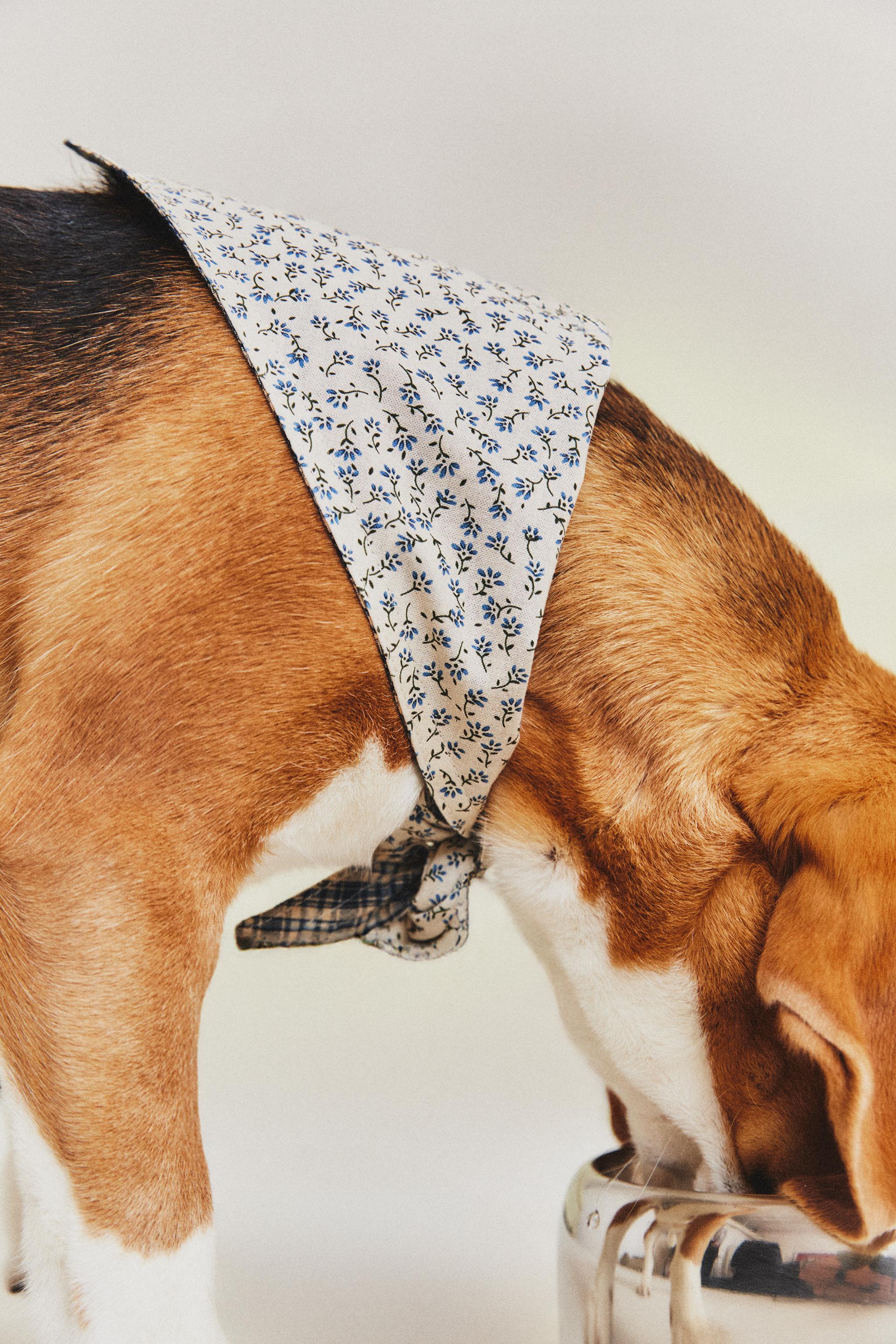BANDANA COTON FLEURS ANIMAUX