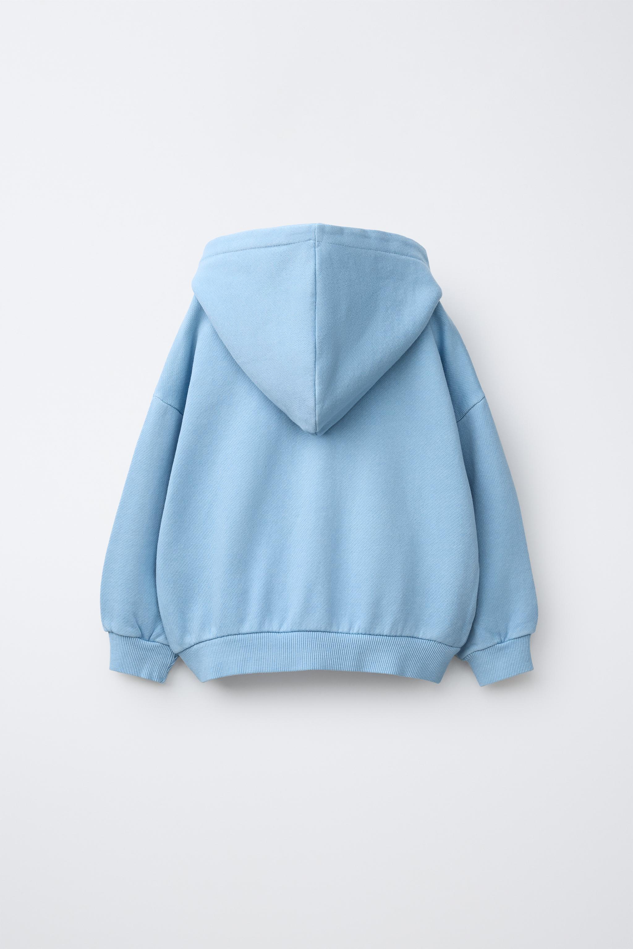 EMBROIDERED LOGO ZIP HOODIE - Faded blue | ZARA United States