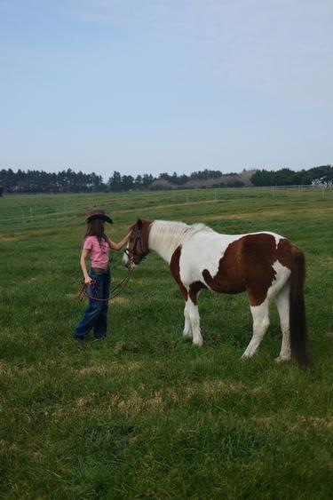 LOTTIE RAE PRINT T-SHIRT - Pink by Zara