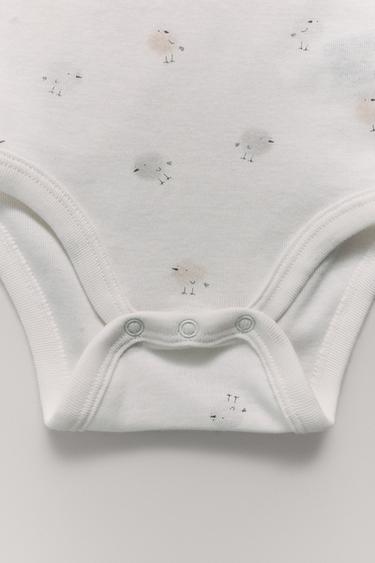 PACK CINCO BODIES POLLITOS - Tostado de Zara