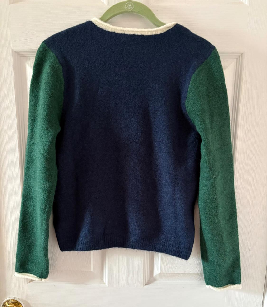 Blue wool sweater with green sleeves and a white collar, hanging on a green hanger over a white door.