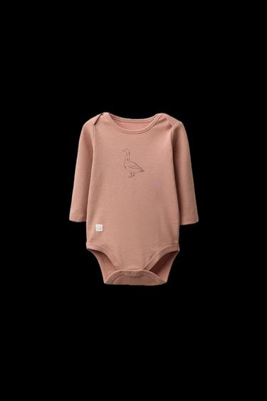Zara Product image - Multicolored