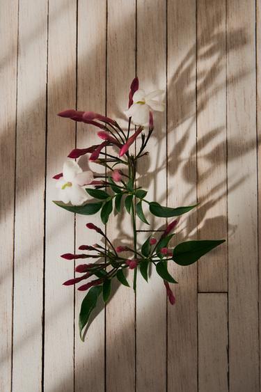 ZARAILLUSION EDP 80ML (2.71 FL. OZ) -  de Zara - Image 3