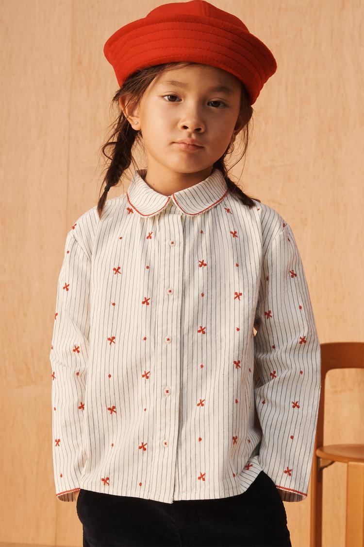 Camisa rayas y bordados limited edition