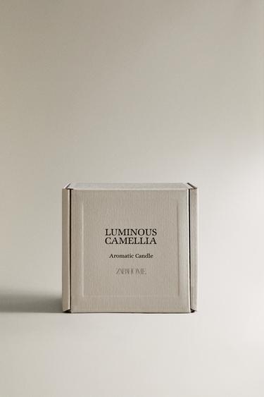 (150 G) BOUGIE PARFUMÉE LUMINOUS CAMELLIA - Rose clair de Zara - Image 3