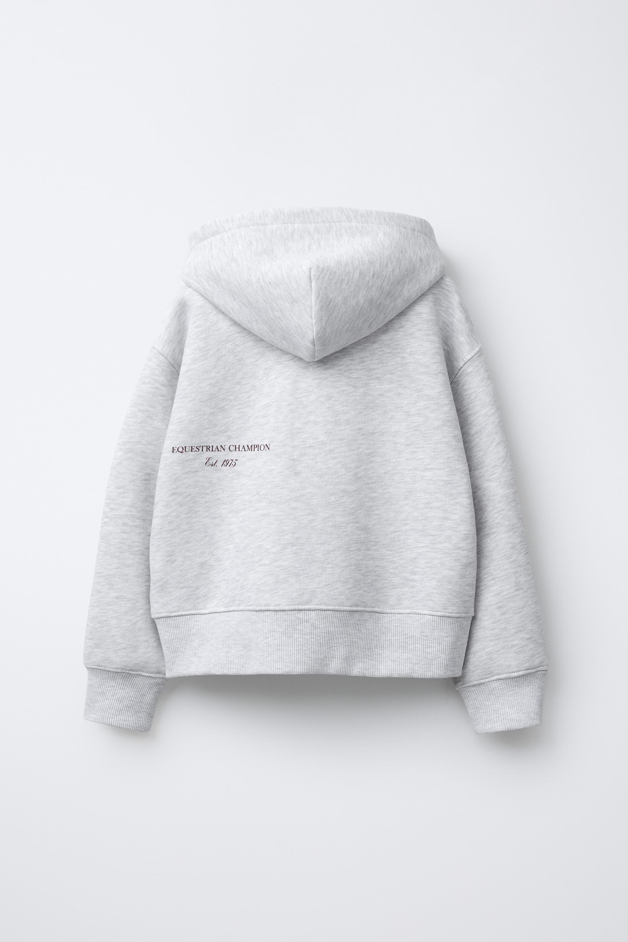 TEXT ZIP SWEATSHIRT - Gray | ZARA United States