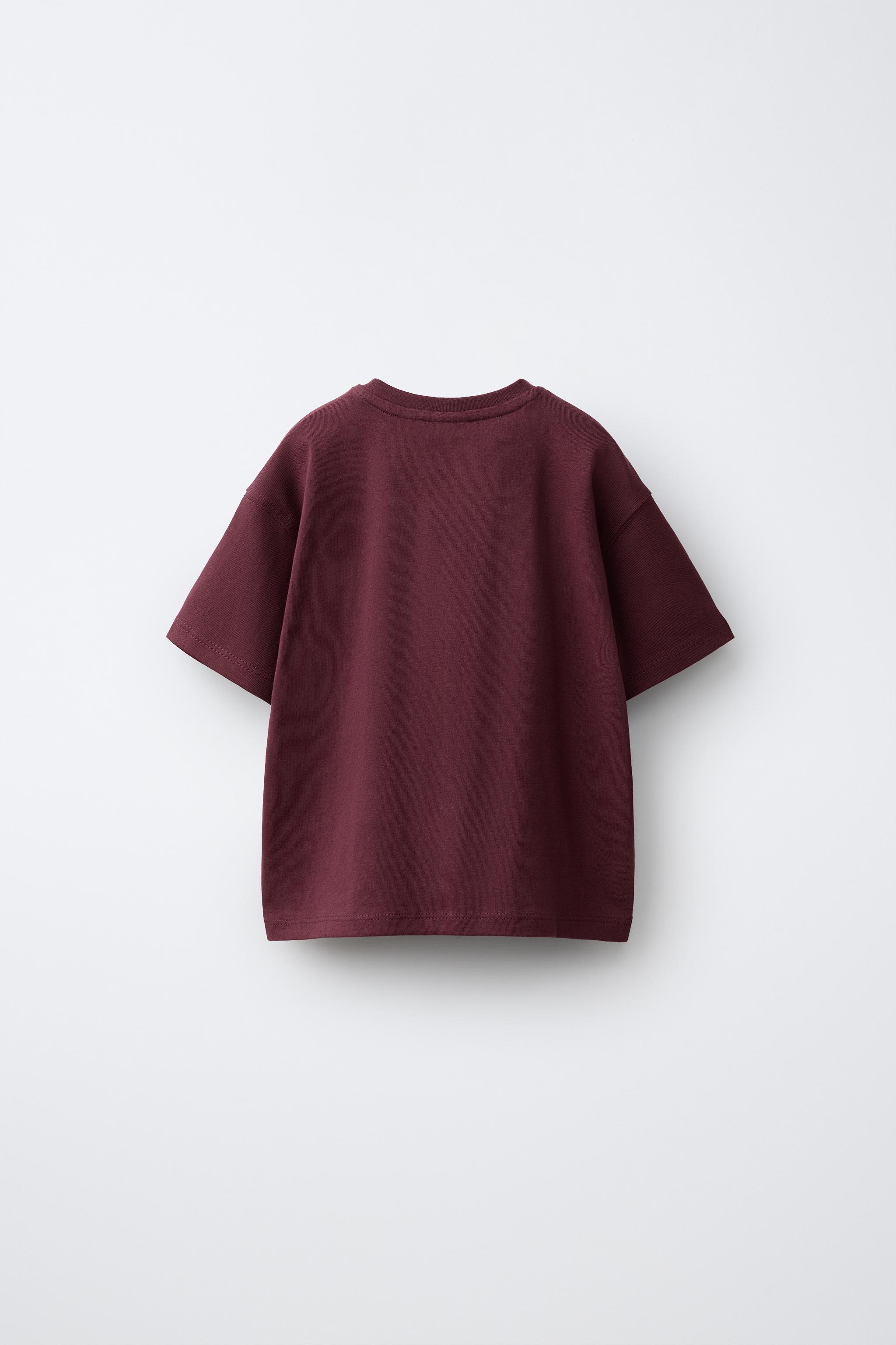 EMBROIDERED DETAIL T-SHIRT - Eggplant | ZARA United States