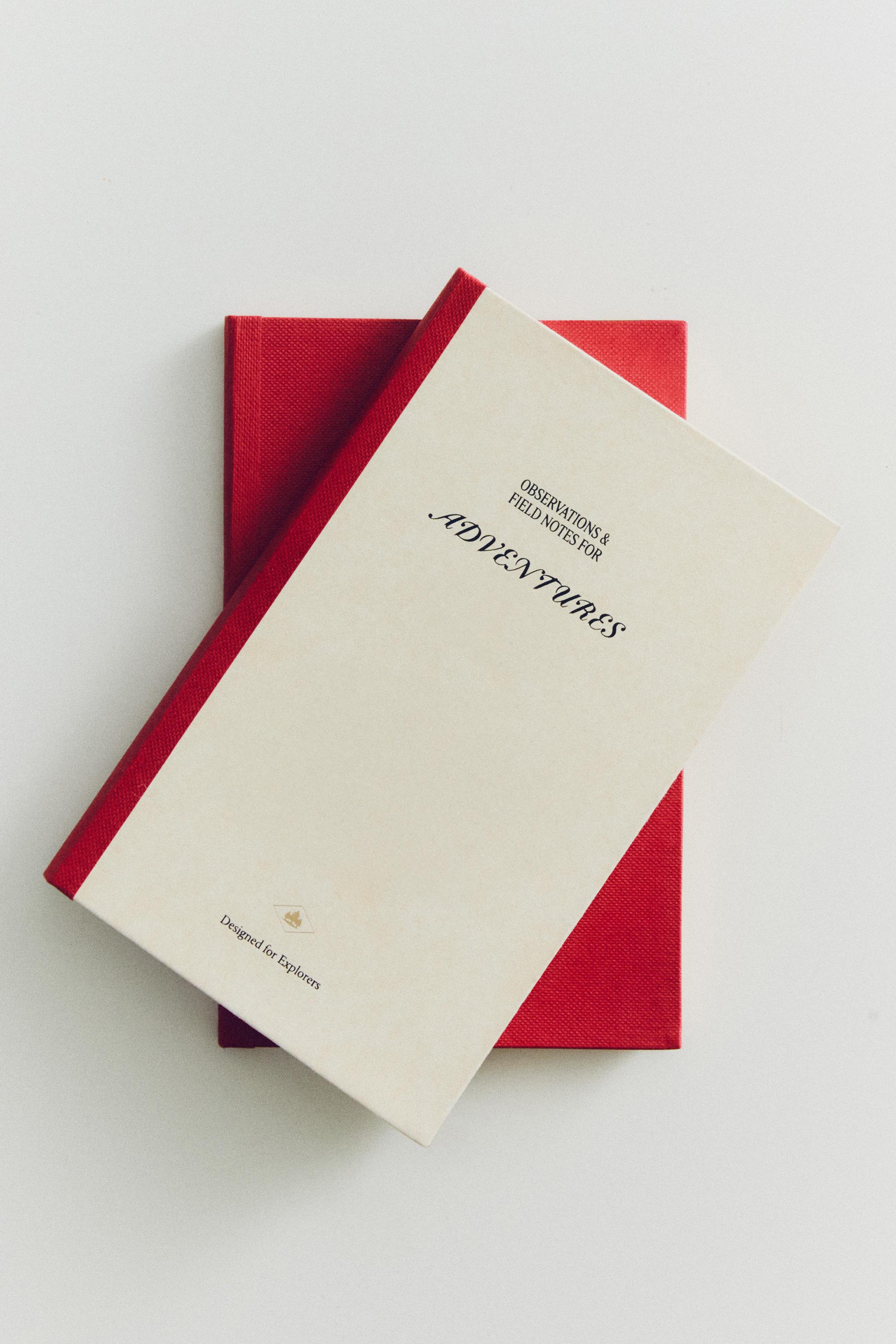 CONSTELLATION NOTEBOOK PACK (SET OF 2) — Multicolored