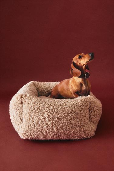 FAUX SHEARLING PET BED - Beige by Zara