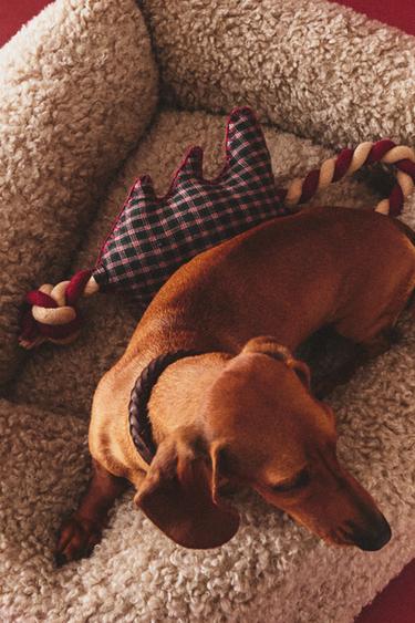 Zara CHRISTMAS TREE PET TOY - 綠色